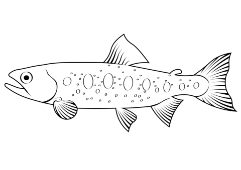 Masu Salmon (Oncorhynchus Masou) Coloring Page